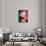 USA, Oregon, Portland. A swirl of red wine in glass reflecting light.-Richard Duval-Photographic Print displayed on a wall