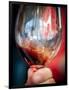 USA, Oregon, Portland. A swirl of red wine in glass reflecting light.-Richard Duval-Framed Photographic Print