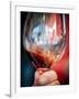 USA, Oregon, Portland. A swirl of red wine in glass reflecting light.-Richard Duval-Framed Photographic Print