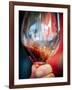 USA, Oregon, Portland. A swirl of red wine in glass reflecting light.-Richard Duval-Framed Photographic Print