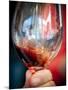 USA, Oregon, Portland. A swirl of red wine in glass reflecting light.-Richard Duval-Mounted Premium Photographic Print