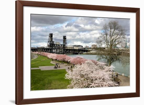 USA, Oregon, Portland. Cherry trees in bloom along Willamette River.-Jaynes Gallery-Framed Premium Photographic Print