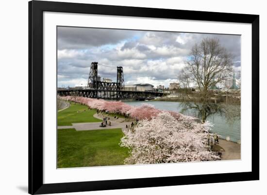 USA, Oregon, Portland. Cherry trees in bloom along Willamette River.-Jaynes Gallery-Framed Premium Photographic Print