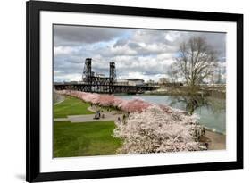 USA, Oregon, Portland. Cherry trees in bloom along Willamette River.-Jaynes Gallery-Framed Premium Photographic Print