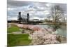 USA, Oregon, Portland. Cherry trees in bloom along Willamette River.-Jaynes Gallery-Mounted Premium Photographic Print