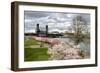 USA, Oregon, Portland. Cherry trees in bloom along Willamette River.-Jaynes Gallery-Framed Photographic Print