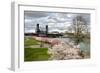 USA, Oregon, Portland. Cherry trees in bloom along Willamette River.-Jaynes Gallery-Framed Photographic Print