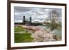 USA, Oregon, Portland. Cherry trees in bloom along Willamette River.-Jaynes Gallery-Framed Photographic Print