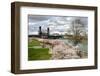 USA, Oregon, Portland. Cherry trees in bloom along Willamette River.-Jaynes Gallery-Framed Photographic Print