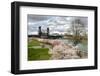 USA, Oregon, Portland. Cherry trees in bloom along Willamette River.-Jaynes Gallery-Framed Photographic Print