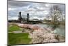USA, Oregon, Portland. Cherry trees in bloom along Willamette River.-Jaynes Gallery-Mounted Photographic Print