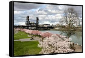 USA, Oregon, Portland. Cherry trees in bloom along Willamette River.-Jaynes Gallery-Framed Stretched Canvas