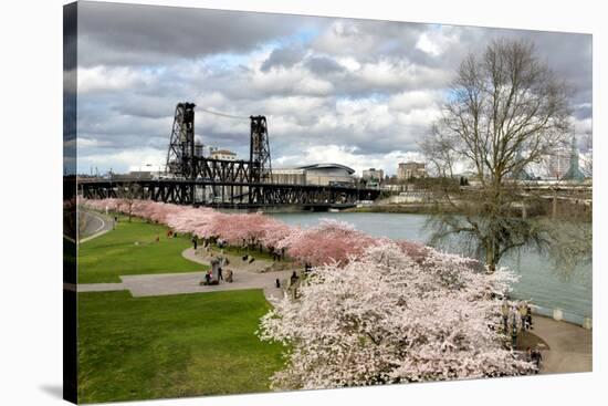 USA, Oregon, Portland. Cherry trees in bloom along Willamette River.-Jaynes Gallery-Stretched Canvas