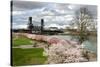 USA, Oregon, Portland. Cherry trees in bloom along Willamette River.-Jaynes Gallery-Stretched Canvas