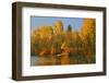 Usa, Oregon, Portland. Johnson Lake and waterfowl in autumn.-Jaynes Gallery-Framed Photographic Print