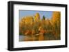 Usa, Oregon, Portland. Johnson Lake and waterfowl in autumn.-Jaynes Gallery-Framed Photographic Print