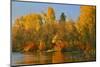Usa, Oregon, Portland. Johnson Lake and waterfowl in autumn.-Jaynes Gallery-Mounted Photographic Print