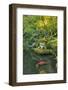 USA, Oregon, Portland. Koi pond in a garden.-Jaynes Gallery-Framed Photographic Print