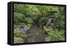 USA, Oregon, Portland, Lantern in a garden.-Rob Tilley-Framed Stretched Canvas