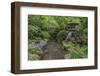 USA, Oregon, Portland, Lantern in a garden.-Rob Tilley-Framed Photographic Print