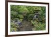 USA, Oregon, Portland, Lantern in a garden.-Rob Tilley-Framed Premium Photographic Print