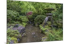 USA, Oregon, Portland, Lantern in a garden.-Rob Tilley-Mounted Premium Photographic Print