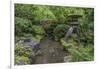 USA, Oregon, Portland, Lantern in a garden.-Rob Tilley-Framed Photographic Print