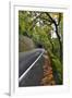 Usa, Oregon, Portland. Macleay Park and road in autumn.-Jaynes Gallery-Framed Photographic Print