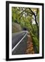 Usa, Oregon, Portland. Macleay Park and road in autumn.-Jaynes Gallery-Framed Photographic Print