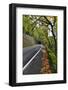 Usa, Oregon, Portland. Macleay Park and road in autumn.-Jaynes Gallery-Framed Photographic Print