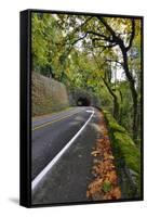 Usa, Oregon, Portland. Macleay Park and road in autumn.-Jaynes Gallery-Framed Stretched Canvas