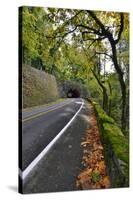 Usa, Oregon, Portland. Macleay Park and road in autumn.-Jaynes Gallery-Stretched Canvas