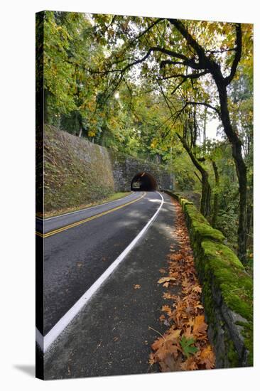 Usa, Oregon, Portland. Macleay Park and road in autumn.-Jaynes Gallery-Stretched Canvas