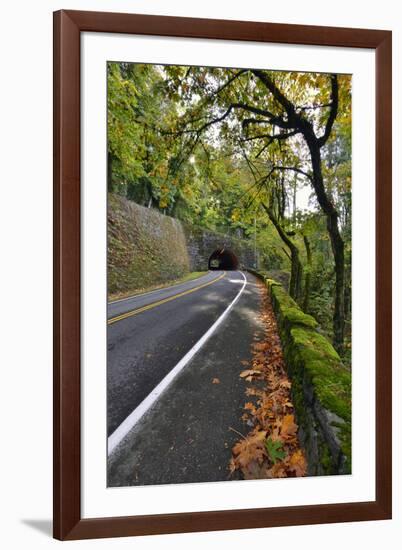 Usa, Oregon, Portland. Macleay Park and road in autumn.-Jaynes Gallery-Framed Premium Photographic Print