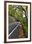 Usa, Oregon, Portland. Macleay Park and road in autumn.-Jaynes Gallery-Framed Premium Photographic Print