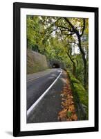 Usa, Oregon, Portland. Macleay Park and road in autumn.-Jaynes Gallery-Framed Premium Photographic Print