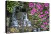 USA, Oregon, Portland, Mallard ducks, male and female pair with rhododendrons.-John Barger-Stretched Canvas