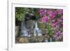 USA, Oregon, Portland, Mallard ducks, male and female pair with rhododendrons.-John Barger-Framed Photographic Print