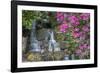USA, Oregon, Portland, Mallard ducks, male and female pair with rhododendrons.-John Barger-Framed Photographic Print