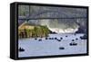 USA, Oregon, Portland. Salmon fishing on Willamette River.-Jaynes Gallery-Framed Stretched Canvas