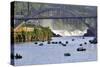 USA, Oregon, Portland. Salmon fishing on Willamette River.-Jaynes Gallery-Stretched Canvas