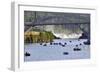 USA, Oregon, Portland. Salmon fishing on Willamette River.-Jaynes Gallery-Framed Photographic Print