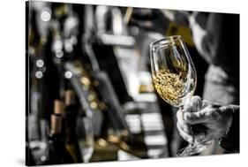 USA, Oregon, Portland. White wine swirl in glass at Portland wine tasting event.-Richard Duval-Stretched Canvas