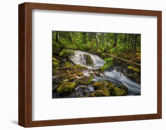 USA, Oregon, Prospect. Pearsony Falls near the Prospect State Scenic Viewpoint.-Christopher Reed-Framed Photographic Print