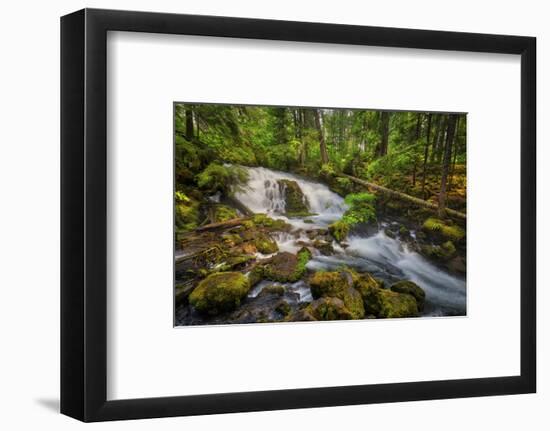 USA, Oregon, Prospect. Pearsony Falls near the Prospect State Scenic Viewpoint.-Christopher Reed-Framed Photographic Print
