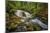 USA, Oregon, Prospect. Pearsony Falls near the Prospect State Scenic Viewpoint.-Christopher Reed-Mounted Photographic Print