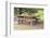 USA, Oregon, Redmond, Terrebonne. Smith Rock State Park. Picnic table and bench.-Emily Wilson-Framed Photographic Print