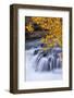USA, Oregon. Rogue River Waterfalls in Autumn-Jean Carter-Framed Photographic Print