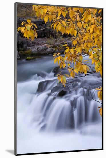 USA, Oregon. Rogue River Waterfalls in Autumn-Jean Carter-Mounted Photographic Print