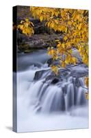 USA, Oregon. Rogue River Waterfalls in Autumn-Jean Carter-Stretched Canvas